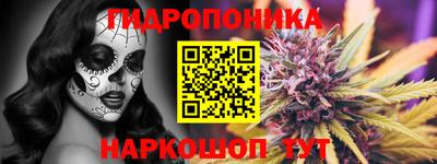 прущие грибы Можга