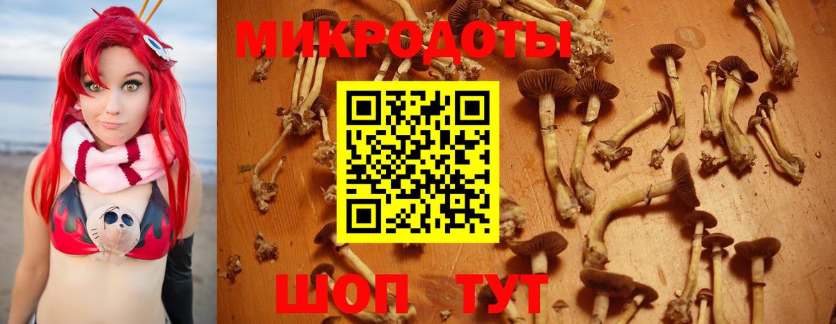 Галлюциногенные грибы MAGIC MUSHROOMS  Вход с VPN  купить наркотики цена  Ханты-Мансийск 